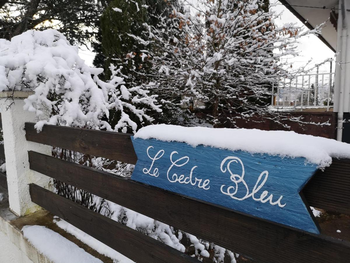 Le Cedre Bleu Hotel Saint-Michel-sur-Meurthe Exterior photo